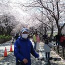 간전-3 이미지