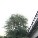 고향머리방 이미지