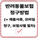 반려동물보험 청구, 이렇게 하면 간편해요! (모바일 청구부터 보험사별 절차까지) 이미지