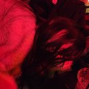 홍어야놀자 | 부산 굴보쌈 도장깨기 마지막편 , 서면 만배아리랑 내돈내산 + 만취일상
