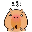 케이크시즌