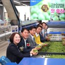 명품인력 이미지