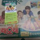 또래오래 핫양념 시식후기