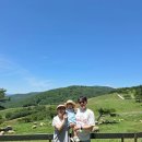 여름목장 | [육아] 24개월 아기랑 대관령 양떼목장 여름 날씨, 유모차 트라이크 관람 후기