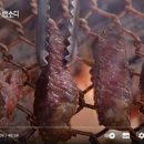 한우랩소디 이미지