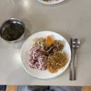 동국정비 | [지구촌 나눔 운동 X 동국제약 에코 챌린저스 2기 🌱] 2박 3일 캠프 활동 후기