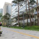 아우라 게이지 이미지