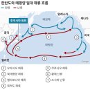 후쿠시마 오염수 방류 시작…앞으로 어떻게 진행되나 이미지