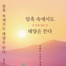 백향란 - 암흑 속에서도 태양은 뜬다 이미지