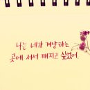 스칼렛캘리그라피 이미지
