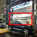 애국돼지 이미지