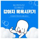 은아 펫 타운 이미지