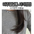 도그살롱올치 | 사가정역 미용실 비주얼살롱 사가정점 성실 디자이너한테 시원하게 두피관리 받고 온 후기