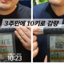 바니점핑