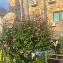 수원-0135 이미지