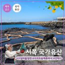 제주 서귀포층 패류화석 산지 | 제주 서쪽 가볼만한곳 국가유산 스탬프 투어 LIST 3