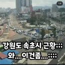 부림동 39-8 공영주차장 | 강아지랑 극성수기 여름 여행 (애견동반 속초 여행)