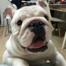 히릿