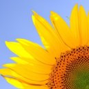 윤홍균정신건강의학과의원 이미지