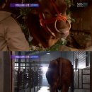 꽃순이 - 부천시 원미구 송내대로 388 | 꽃순이