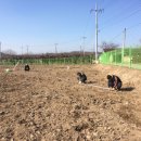 유원 태양광발전소 이미지