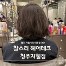 구(고경) | 찰스리 헤어 테크 청주 지웰점 청주 레이어드 CS 컬 펌 잘하는곳 임산부 미용실 추천