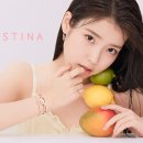 스윗제이 이미지