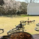 가덕도식당