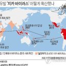 대유행 공포 지카 바이러스…소두증 원인 지목·백신 없어 이미지