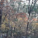 삼포복집 이미지