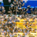 민두벌꿀 이미지