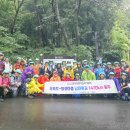 남파랑길9코스 가고파꼬부랑길 벽화마을 250719 이미지