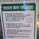 금베이숲 이미지