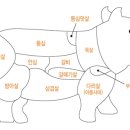 돼지고기 부위별 이미지