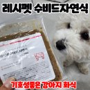 소.화식당 | 꽃도장으로 입맛 없는 강아지를 위한 레시펫 수비드화식 급여 후기