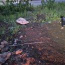 늘푸른환경 이미지