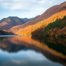 김동수 | 11월 국내 여행지 추천: 내장산 단풍, 잊지 못할 가을 추억 만들기