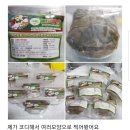 2021년에도 그레맘 스토리는 계속됩니다~~♡