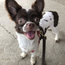 안양8동 행정복지센터 이미지