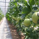 지인농장 이미지