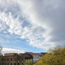 11650-17-19-5 | [17박 19일 유럽] 포르투 5박6일(3) 길었지만 떠나는 날에는 역시나 아쉽다