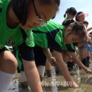 수왕초등학교 이미지