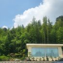 개정초등학교 | 군산 카페 : 푸르던(PRUDEN) 분위기 좋은 카페 / 팬더와 대나무숲 / 내돈내산찐후기