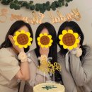(유)제일정비 | (진도) 진도 쏠비치 리조트 소노캄 A to Z 국내 호캉스 여행, 브라이덜샤워 후기 ⌯&gt;ᴗ&lt;⌯ಣ