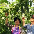 해남군직거래사업단 이미지