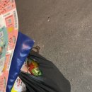 황금뽑기역 이미지