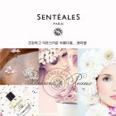 사이언스헤드 이미지
