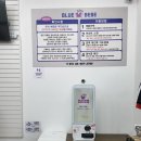 블루베베 이미지