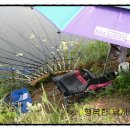 계남제 이미지