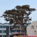 의성군농업기술센터(점곡지소) 이미지